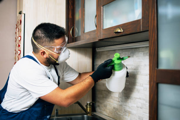 Best Exterminator Services  in Miles City, MT