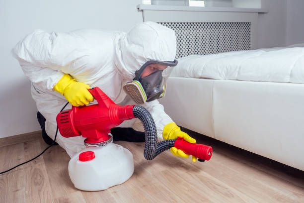 Best Exterminator Services  in Miles City, MT