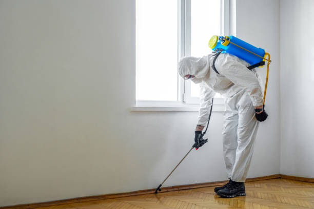 Best Pest Removal Services  in Miles City, MT