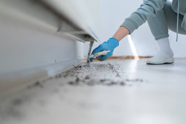 Best Pest Control Near Me  in Miles City, MT