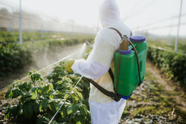 Best Local Pest Control Services  in Miles City, MT